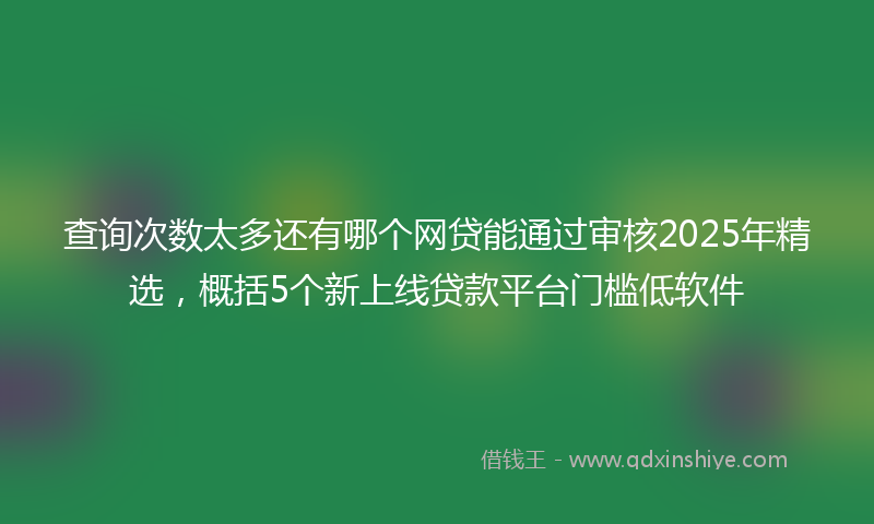 查询次数太多还有哪个网贷能通过审核2025年精选，概括5个新上线贷款平台门槛低软件