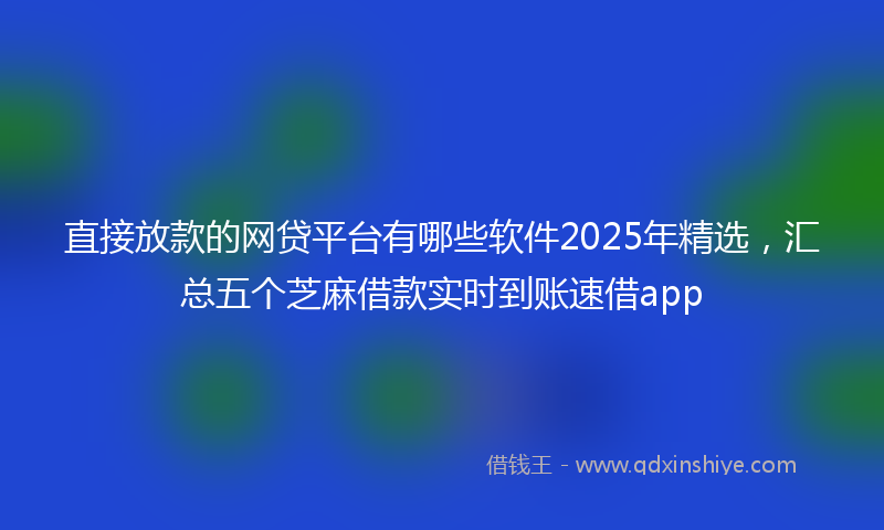 直接放款的网贷平台有哪些软件2025年精选，汇总五个芝麻借款实时到账速借app