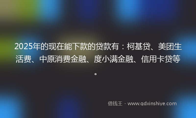 2025年的现在能下款的贷款有：柯基贷、美团生活费、中原消费金融、度小满金融、信用卡贷等。
