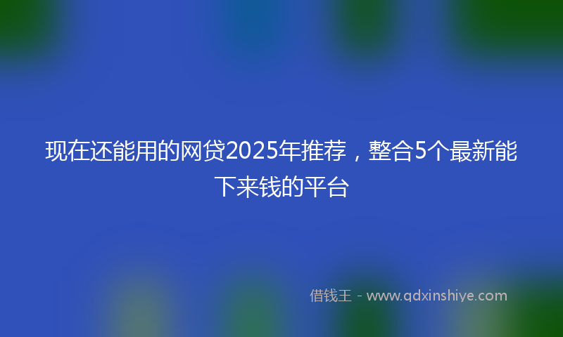 现在还能用的网贷2025年推荐，整合5个最新能下来钱的平台