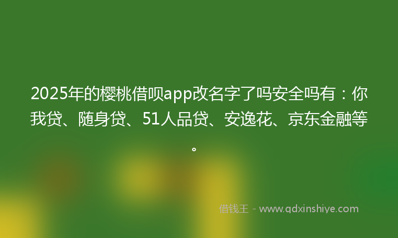 2025年的樱桃借呗app改名字了吗安全吗有：你我贷、随身贷、51人品贷、安逸花、京东金融等。