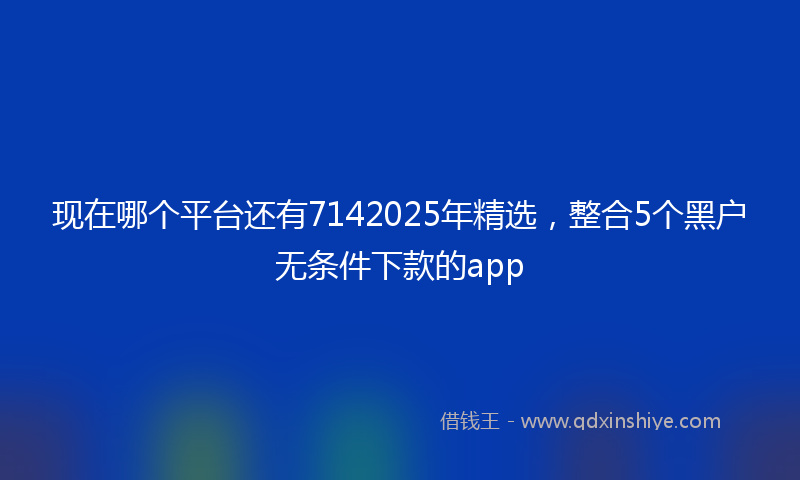 现在哪个平台还有7142025年精选，整合5个黑户无条件下款的app