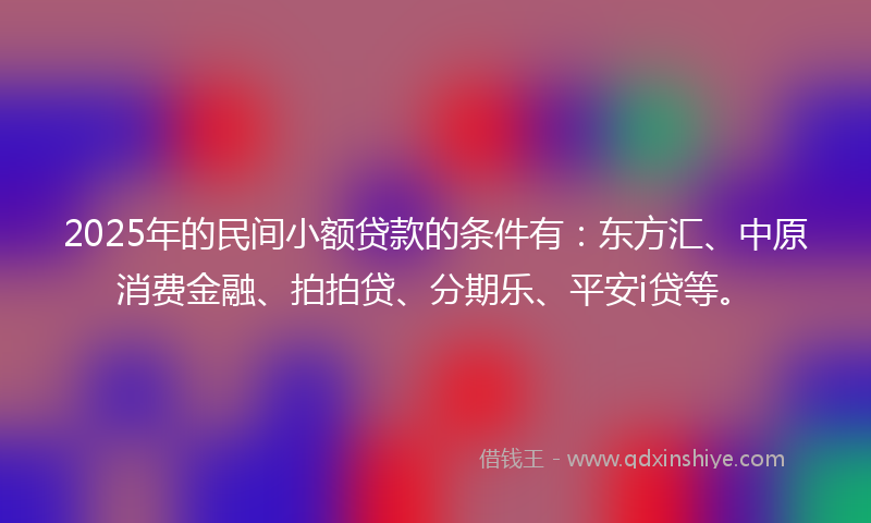 2025年的民间小额贷款的条件有：东方汇、中原消费金融、拍拍贷、分期乐、平安i贷等。