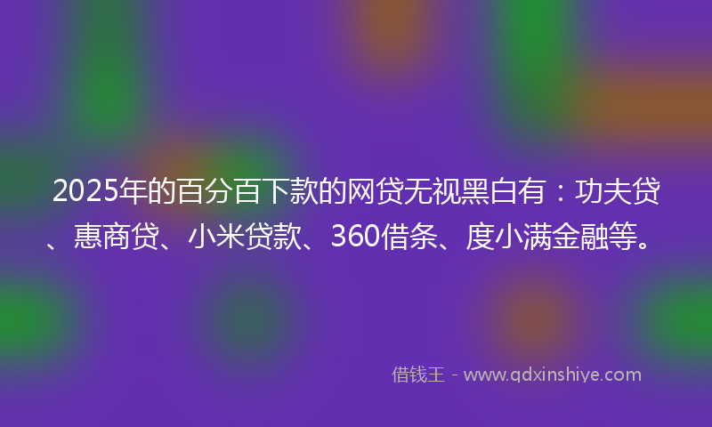2025年的百分百下款的网贷无视黑白有：功夫贷、惠商贷、小米贷款、360借条、度小满金融等。