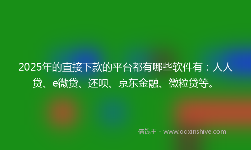 2025年的直接下款的平台都有哪些软件有：人人贷、e微贷、还呗、京东金融、微粒贷等。