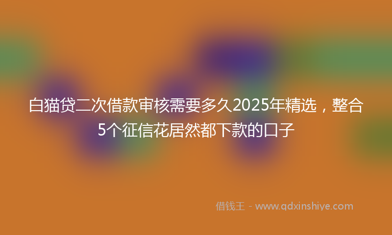 白猫贷二次借款审核需要多久2025年精选,整合5个征信花居然都下款的口子