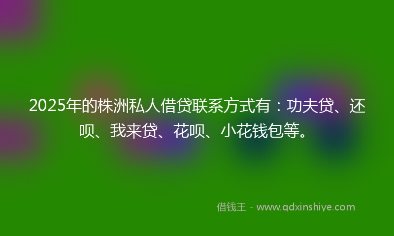 2025年的株洲私人借贷联系方式有：功夫贷、还呗、我来贷、花呗、小花钱包等。