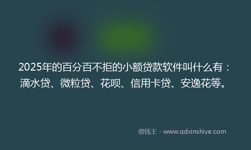 2025年的百分百不拒的小额贷款软件叫什么有：滴水贷、微粒贷、花呗、信用卡贷、安逸花等。