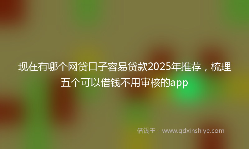 现在有哪个网贷口子容易贷款2025年推荐，梳理五个可以借钱不用审核的app