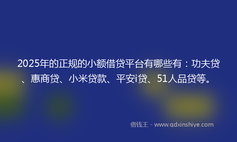 2025年的正规的小额借贷平台有哪些有：功夫贷、惠商贷、小米贷款、平安i贷、51人品贷等。