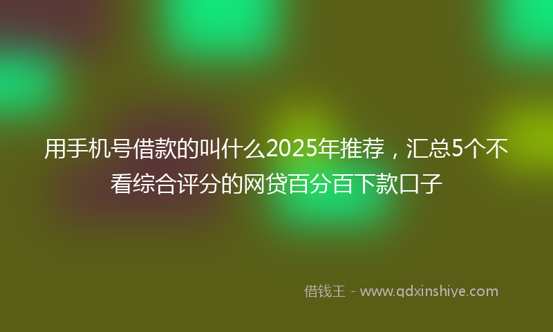 用手机号借款的叫什么2025年推荐，汇总5个不看综合评分的网贷百分百下款口子