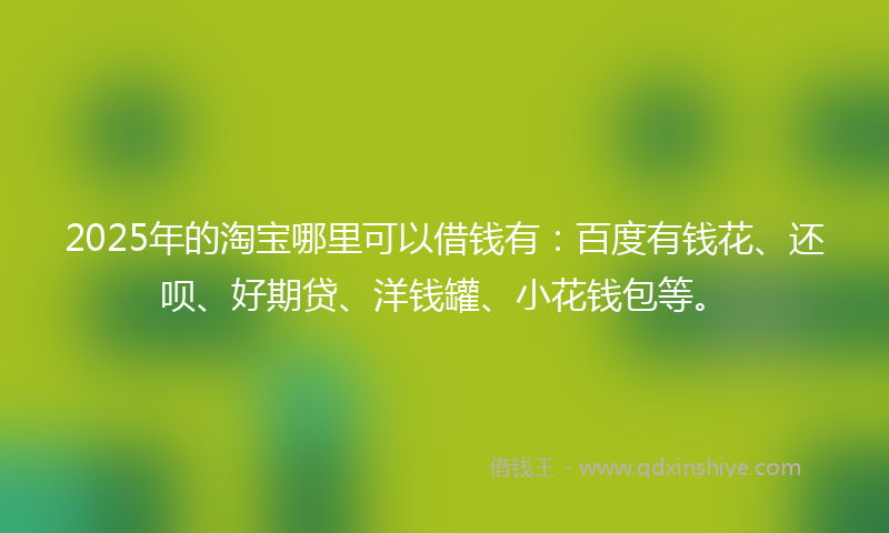 2025年的淘宝哪里可以借钱有：百度有钱花、还呗、好期贷、洋钱罐、小花钱包等。