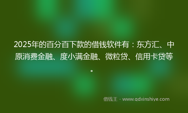 2025年的百分百下款的借钱软件有：东方汇、中原消费金融、度小满金融、微粒贷、信用卡贷等。
