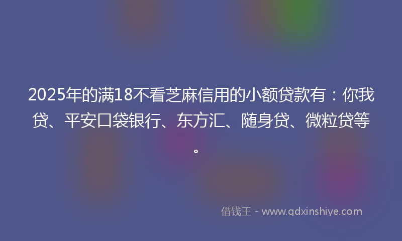 2025年的满18不看芝麻信用的小额贷款有：你我贷、平安口袋银行、东方汇、随身贷、微粒贷等。