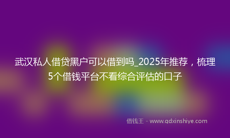 武汉私人借贷黑户可以借到吗_2025年推荐，梳理5个借钱平台不看综合评估的口子
