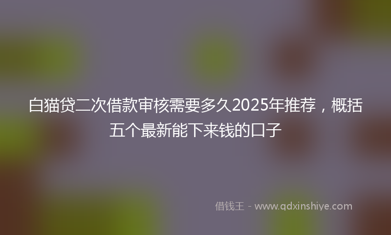 白猫贷二次借款审核需要多久2025年推荐，概括五个最新能下来钱的口子