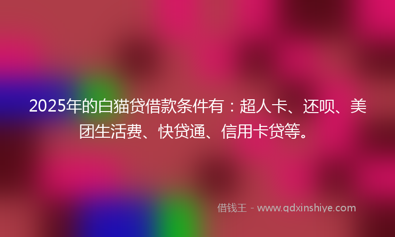 2025年的白猫贷借款条件有：超人卡、还呗、美团生活费、快贷通、信用卡贷等。