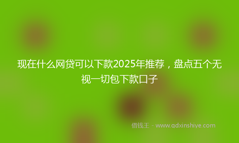 现在什么网贷可以下款2025年推荐，盘点五个无视一切包下款口子