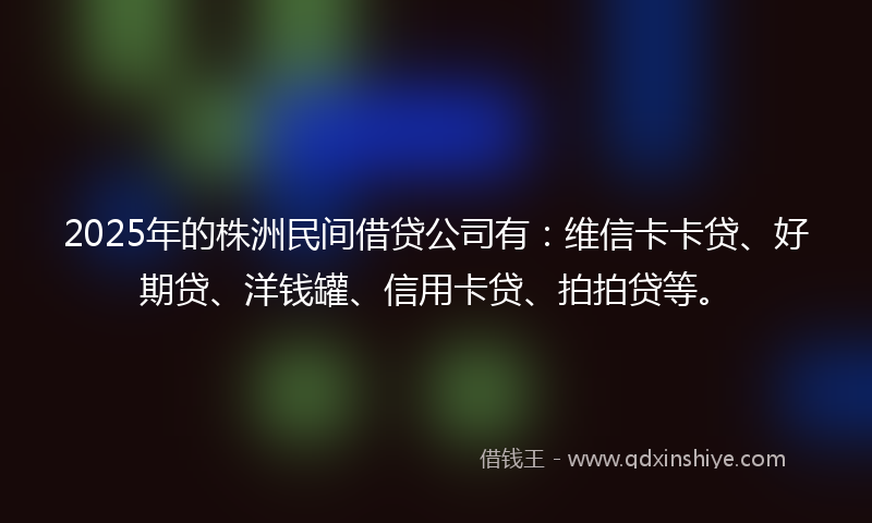 2025年的株洲民间借贷公司有：维信卡卡贷、好期贷、洋钱罐、信用卡贷、拍拍贷等。