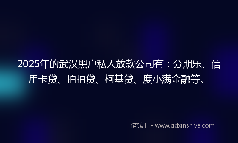 2025年的武汉黑户私人放款公司有：分期乐、信用卡贷、拍拍贷、柯基贷、度小满金融等。
