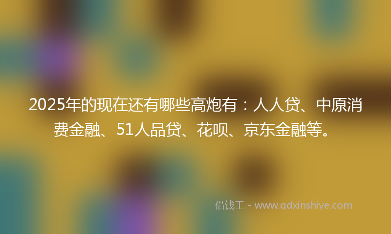 2025年的现在还有哪些高炮有：人人贷、中原消费金融、51人品贷、花呗、京东金融等。