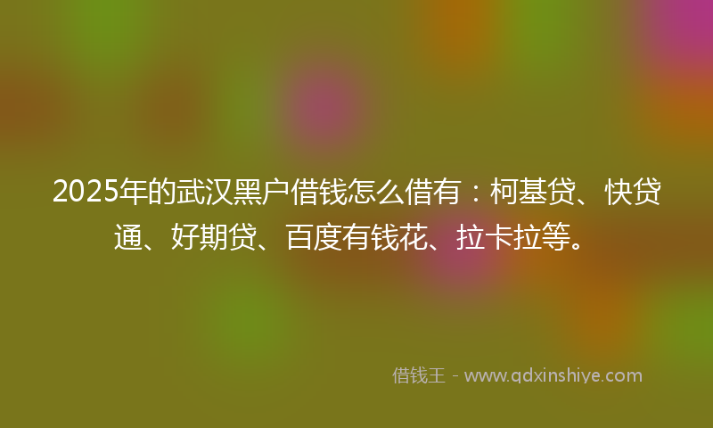2025年的武汉黑户借钱怎么借有：柯基贷、快贷通、好期贷、百度有钱花、拉卡拉等。