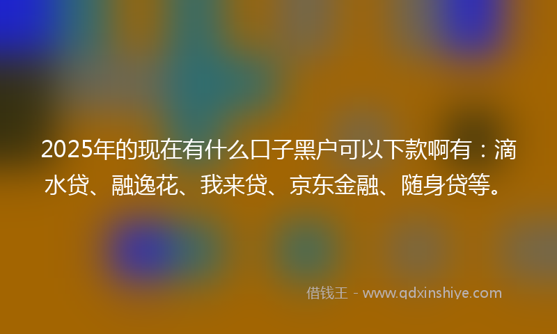 2025年的现在有什么口子黑户可以下款啊有：滴水贷、融逸花、我来贷、京东金融、随身贷等。