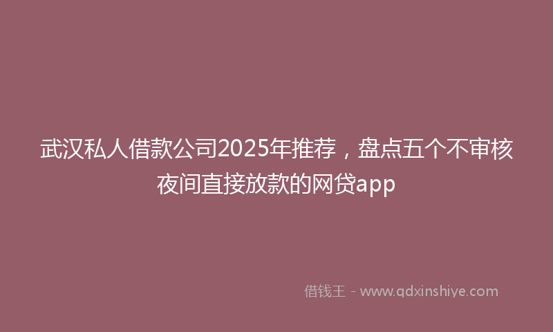 武汉私人借款公司2025年推荐，盘点五个不审核夜间直接放款的网贷app