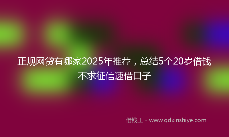 正规网贷有哪家2025年推荐，总结5个20岁借钱不求征信速借口子