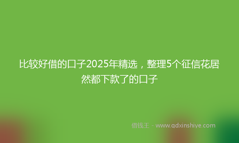 比较好借的口子2025年精选，整理5个征信花居然都下款了的口子
