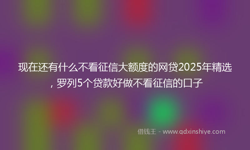 现在还有什么不看征信大额度的网贷2025年精选，罗列5个贷款好做不看征信的口子