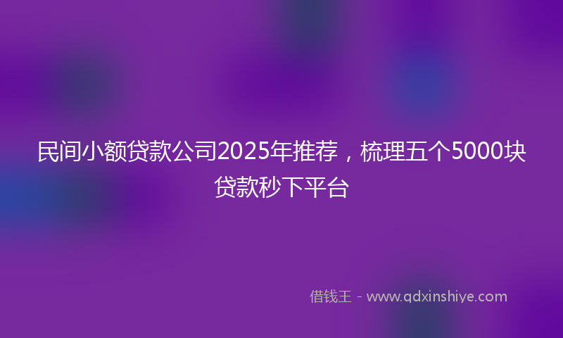 民间小额贷款公司2025年推荐,梳理五个5000块贷款秒下平台