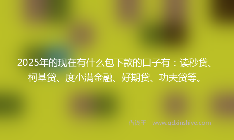 2025年的现在有什么包下款的口子有：读秒贷、柯基贷、度小满金融、好期贷、功夫贷等。