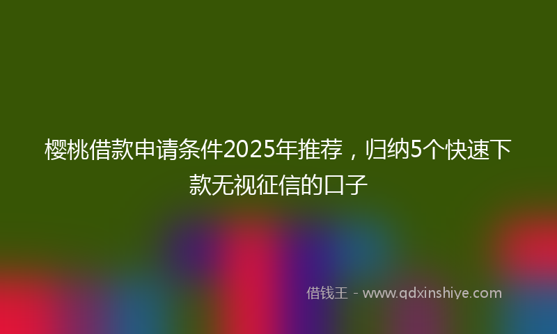 樱桃借款申请条件2025年推荐,归纳5个快速下款无视征信的口子