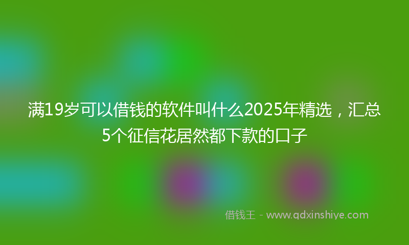 满19岁可以借钱的软件叫什么2025年精选，汇总5个征信花居然都下款的口子