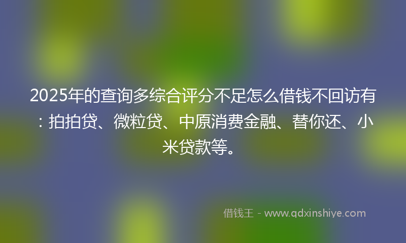 2025年的查询多综合评分不足怎么借钱不回访有：拍拍贷、微粒贷、中原消费金融、替你还、小米贷款等。