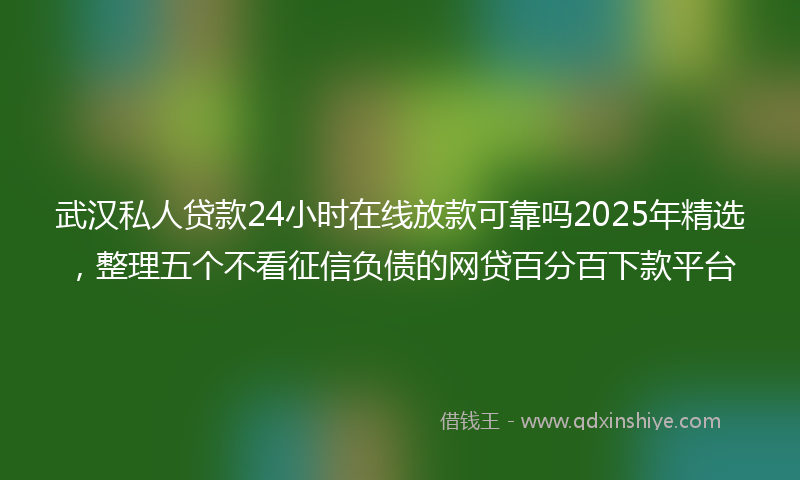 武汉私人贷款24小时在线放款可靠吗2025年精选，整理五个不看征信负债的网贷百分百下款平台
