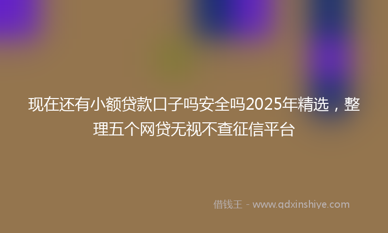 现在还有小额贷款口子吗安全吗2025年精选，整理五个网贷无视不查征信平台