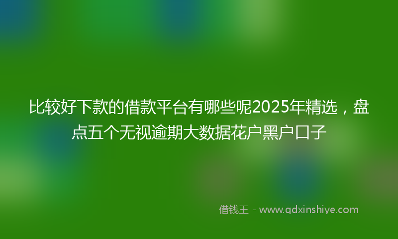 比较好下款的借款平台有哪些呢2025年精选，盘点五个无视逾期大数据花户黑户口子