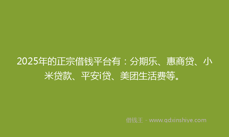 2025年的正宗借钱平台有：分期乐、惠商贷、小米贷款、平安i贷、美团生活费等。
