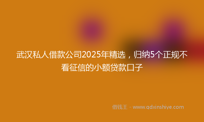 武汉私人借款公司2025年精选，归纳5个正规不看征信的小额贷款口子