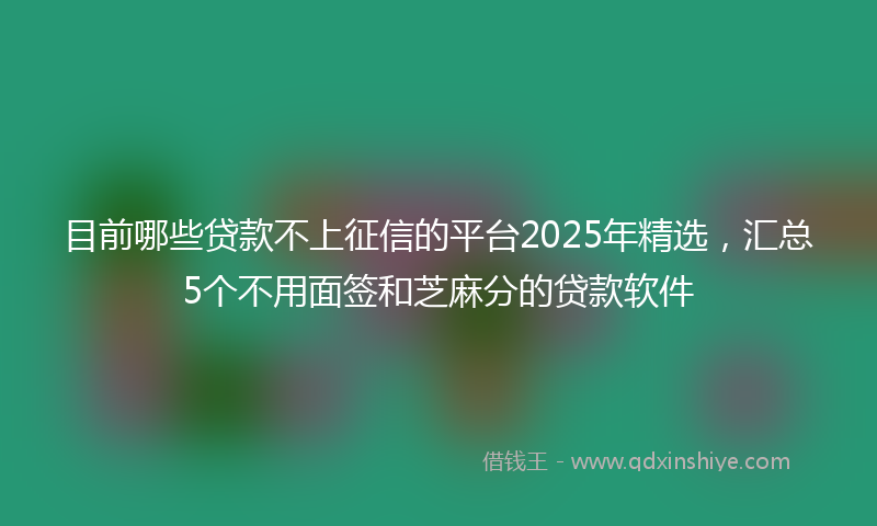目前哪些贷款不上征信的平台2025年精选，汇总5个不用面签和芝麻分的贷款软件