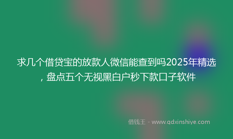 求几个借贷宝的放款人微信能查到吗2025年精选，盘点五个无视黑白户秒下款口子软件