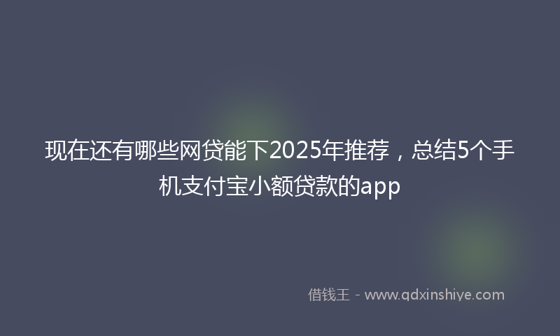 现在还有哪些网贷能下2025年推荐，总结5个手机支付宝小额贷款的app