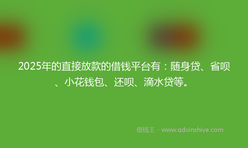 2025年的直接放款的借钱平台有：随身贷、省呗、小花钱包、还呗、滴水贷等。