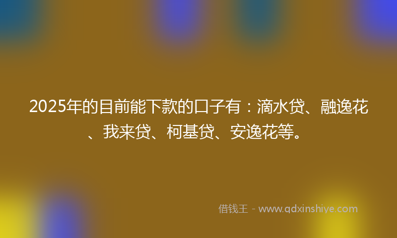 2025年的目前能下款的口子有：滴水贷、融逸花、我来贷、柯基贷、安逸花等。