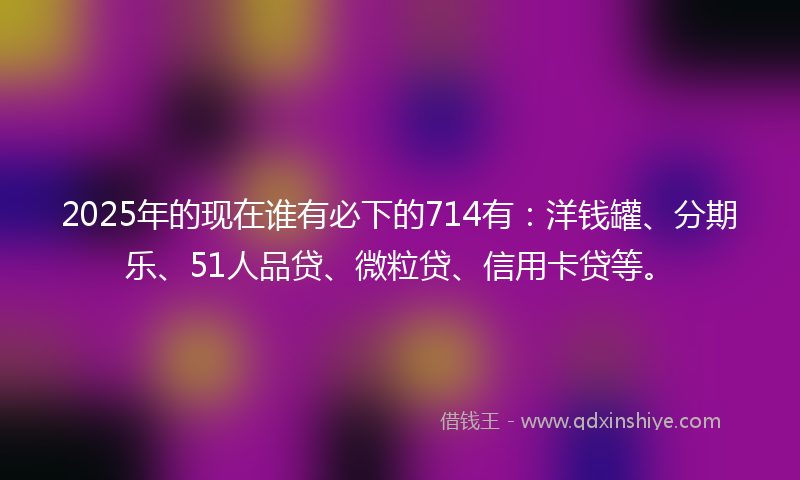 2025年的现在谁有必下的714有：洋钱罐、分期乐、51人品贷、微粒贷、信用卡贷等。
