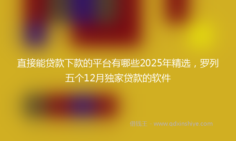 直接能贷款下款的平台有哪些2025年精选，罗列五个12月独家贷款的软件