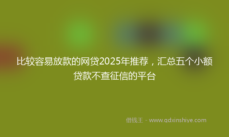 比较容易放款的网贷2025年推荐，汇总五个小额贷款不查征信的平台
