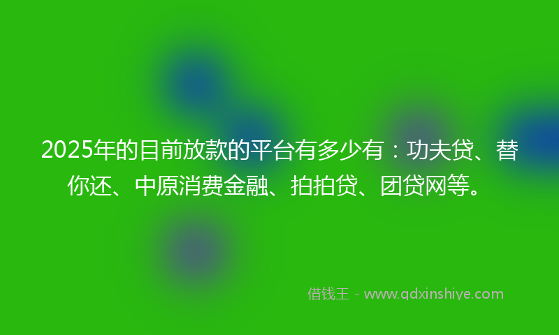 2025年的目前放款的平台有多少有：功夫贷、替你还、中原消费金融、拍拍贷、团贷网等。